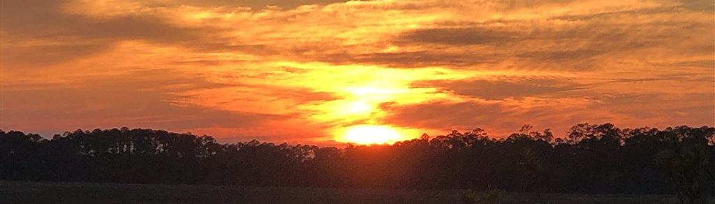 savannah sunset home