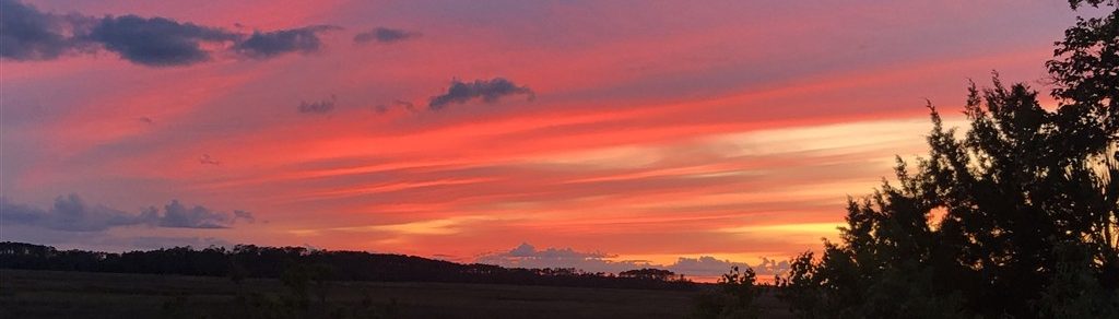 savannah sunset home