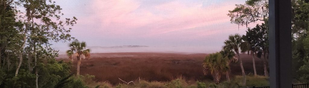 savannah sunset home