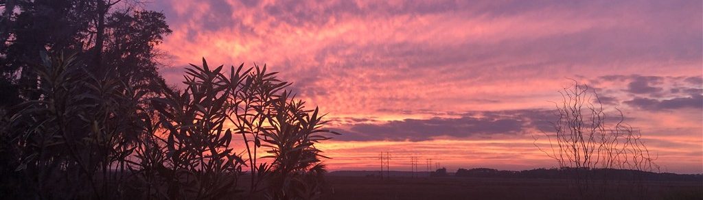 savannah sunset home